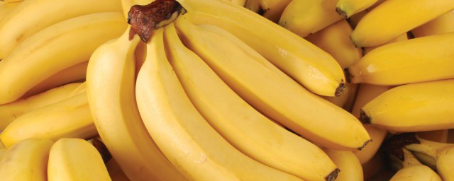 怎么储存香蕉(怎么储存香蕉存放的时间更长)