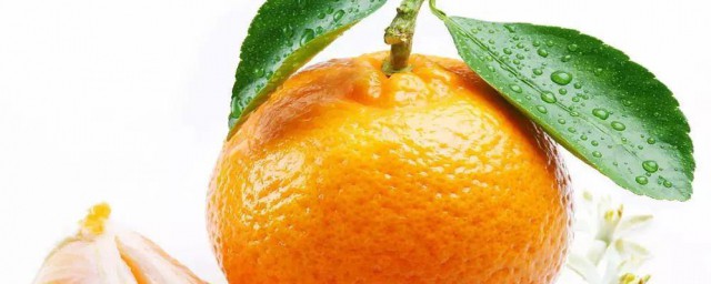 怎么保鲜橘子(怎么储藏新鲜的橘子)