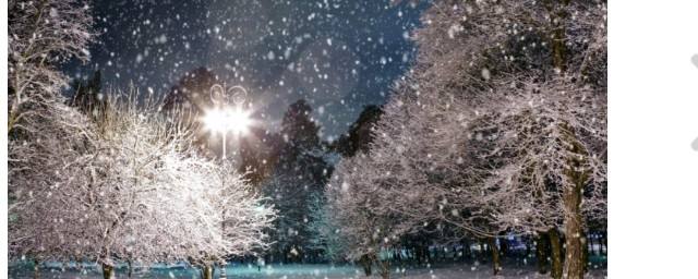 五首关于冬夜的诗词(描写冬夜晚的诗)