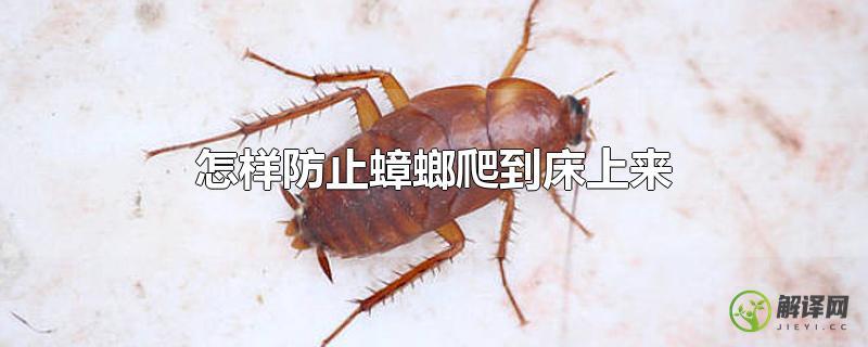 怎样防止蟑螂爬到床上来？