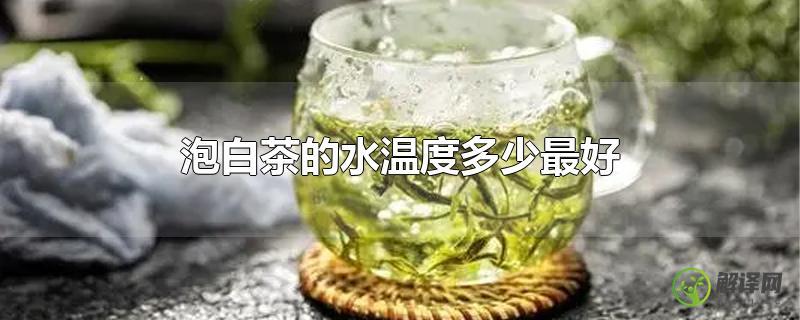泡白茶的水温度多少最好？