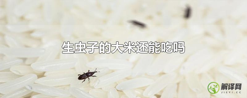 生虫子的大米还能吃吗？