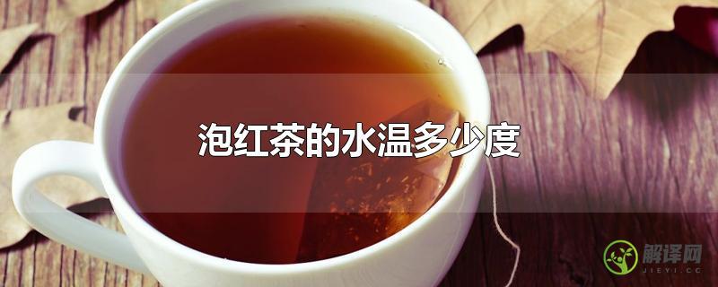 泡红茶的水温多少度？