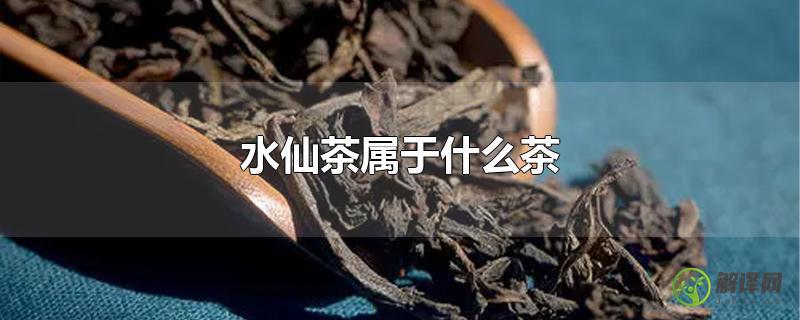 水仙茶属于什么茶？