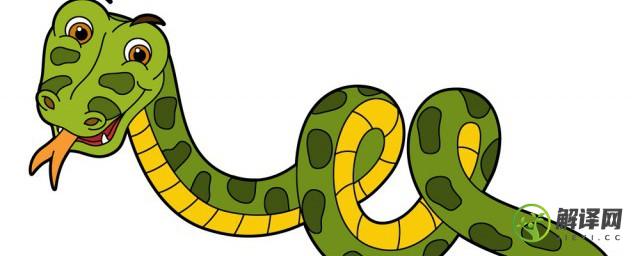 眼镜蛇为什么叫眼镜蛇，眼镜蛇什么原因叫眼镜蛇？