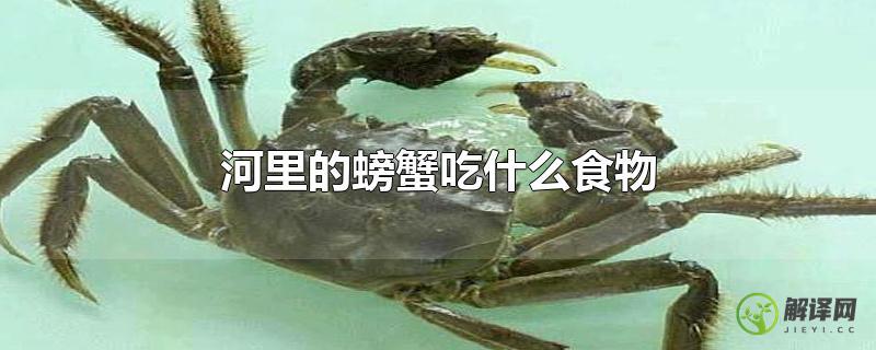 河里的螃蟹吃什么食物？