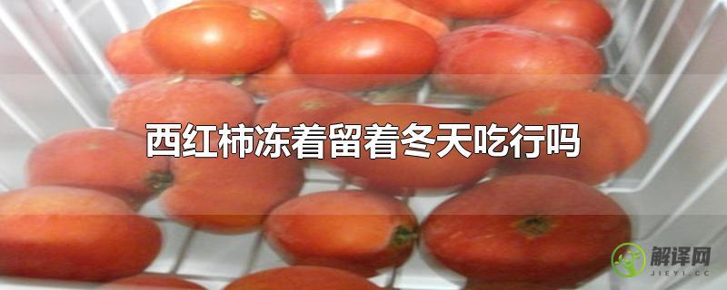西红柿冻着留着冬天吃行吗？