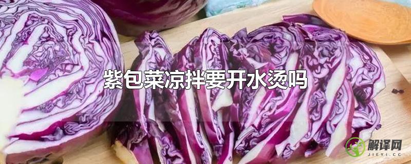 紫包菜凉拌要开水烫吗？
