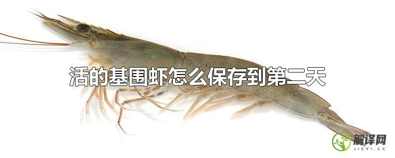 活的基围虾怎么保存到第二天？