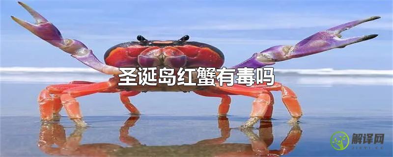 圣诞岛红蟹有毒吗？