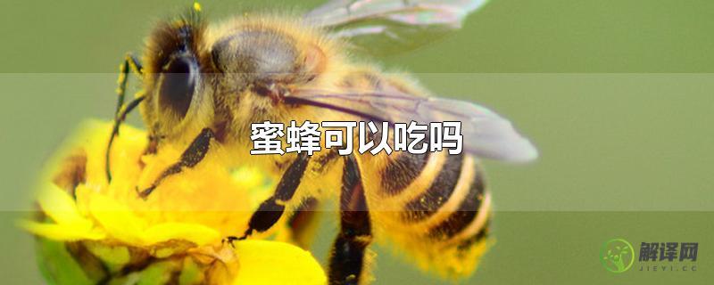 蜜蜂可以吃吗？