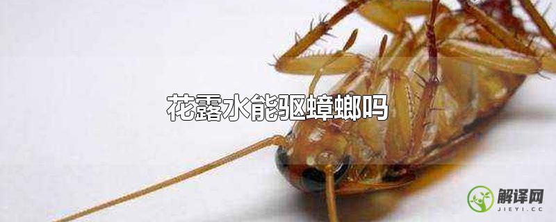 花露水能驱蟑螂吗？