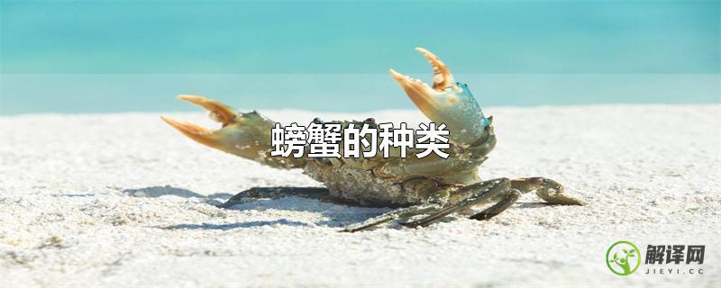 螃蟹的种类？