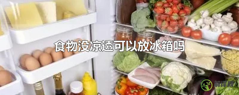 食物没凉透可以放冰箱吗？