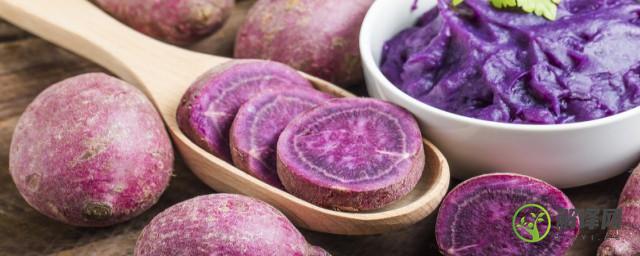 紫薯的食疗价值，紫薯的食疗功效？