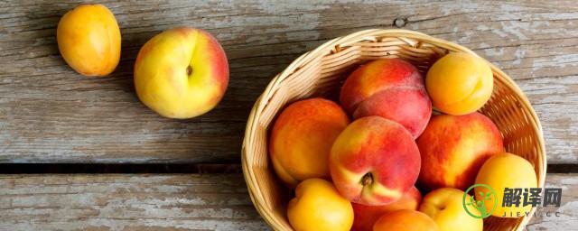 生活中吃哪些水果可以补铁，补铁水果的介绍？