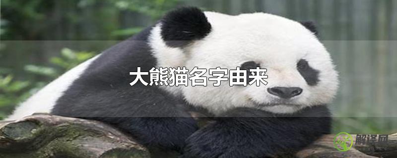 大熊猫名字由来？