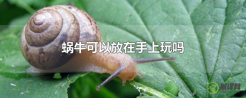 蜗牛可以放在手上玩吗？