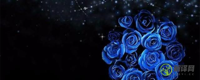 送蓝玫瑰代表什么意思，送蓝玫瑰的寓意介绍？