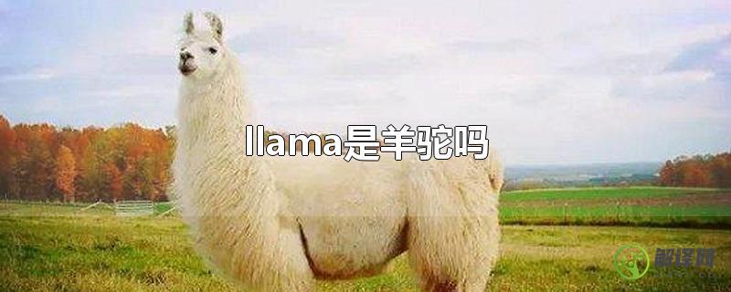 llama是羊驼吗？