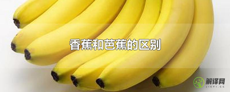 香蕉和芭蕉的区别？