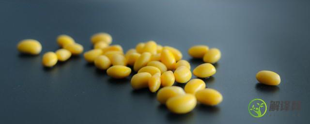 泡好的黄豆可以放冰箱冷冻吗，泡好的黄豆能不能放冰箱冷冻？