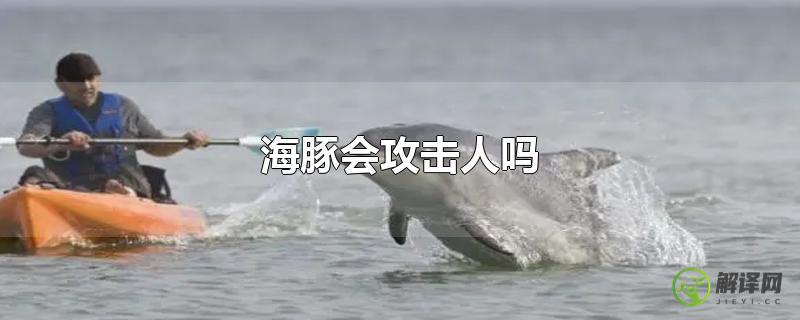 海豚会攻击人吗？