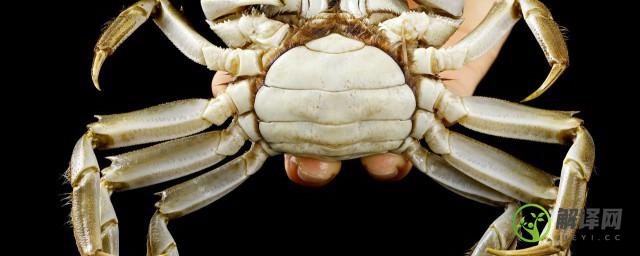 大闸蟹有点臭了还能吃吗，螃蟹臭了能吃吗？