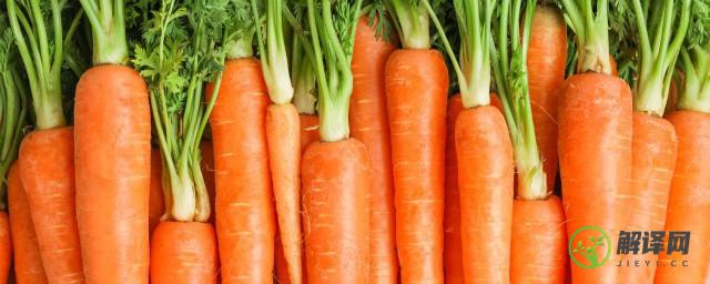胡萝卜吃多了会怎样，胡萝卜吃多了的坏处介绍？