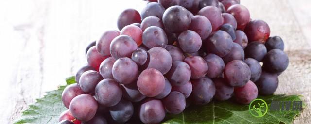 葡萄如何保存时间长，葡萄的保存技巧？