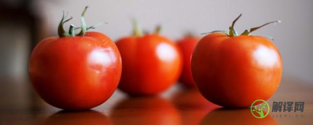为什么种的番茄底部会烂，种的番茄底部会烂的原因？