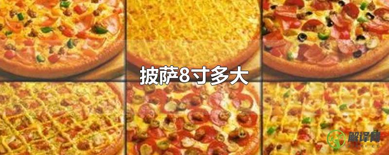 披萨8寸多大？