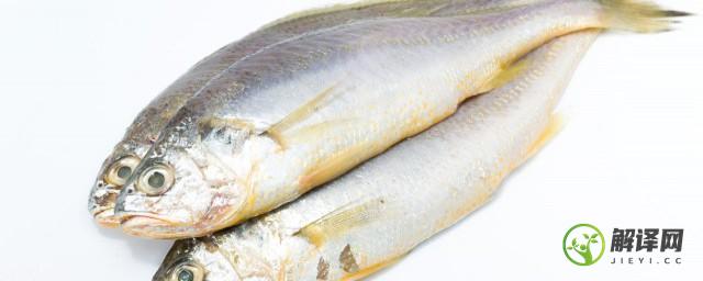 冰冻的海鱼可以清蒸吗，能不能用冷冻的海鱼做清蒸鱼？