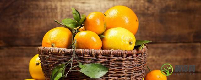 橘子什么季节成熟，橘子的简介？