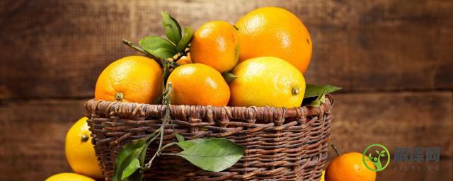什么样的橘子不能吃，哪种橘子不能吃？