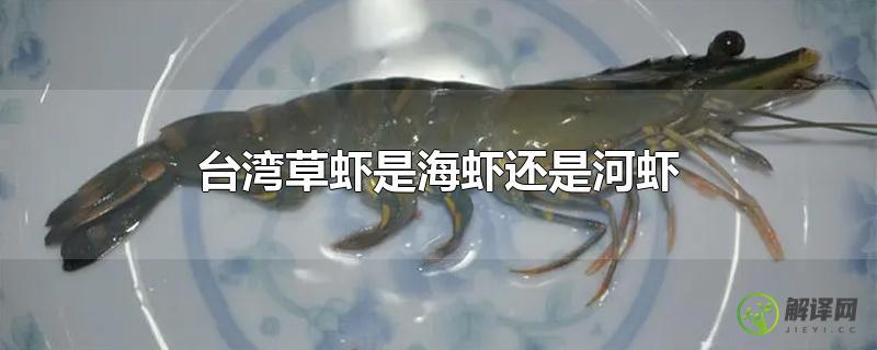 台湾草虾是海虾还是河虾？
