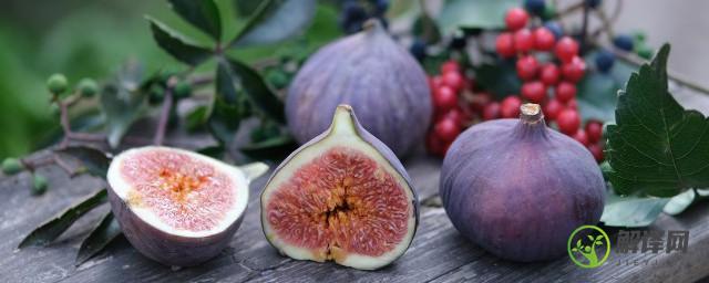 桃树的根茎叶花果实种子有什么特征，桃树的根茎叶花果实种子的特征？