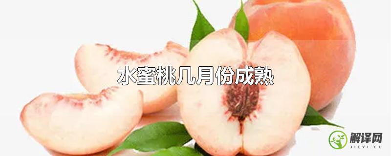 水蜜桃几月份成熟？