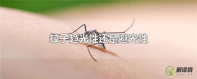 蚊子趋光性还是避光性？