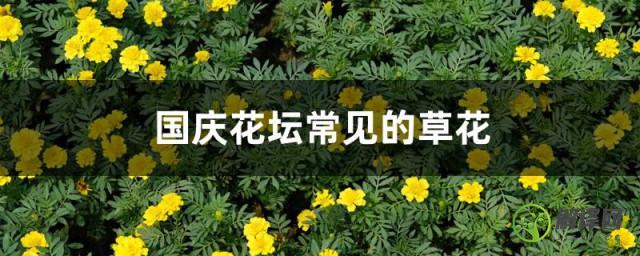 国庆花坛常见的草花，国庆花坛常见的草花有哪些？