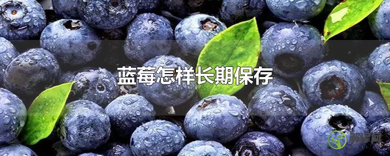 蓝莓怎样长期保存？