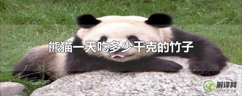 熊猫一天吃多少千克的竹子？