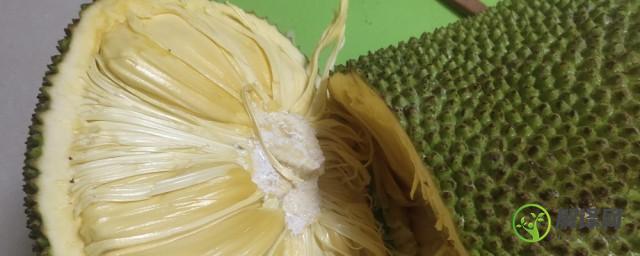 刀上菠萝蜜粘液如何清洗，如何清洗刀上菠萝蜜粘液？