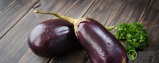 圆紫色茄子怎么做好吃，素炒紫色圆茄子操作简单又好吃？