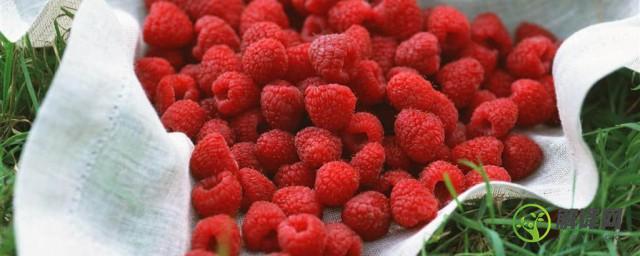 红树莓怎么洗，红树莓的清洗方法？