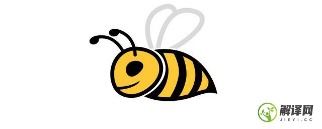 储存蜂花粉的方法，怎样储存蜂花粉？