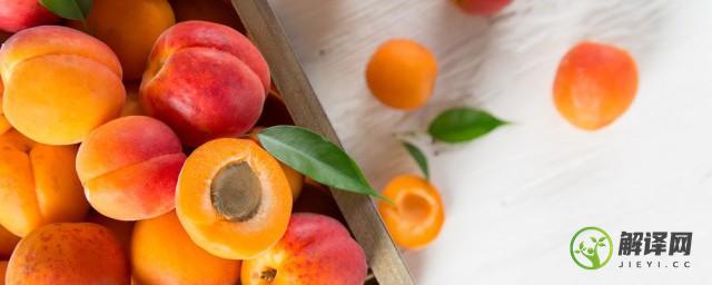 香蜜杏储存方法，如何储存香蜜杏？