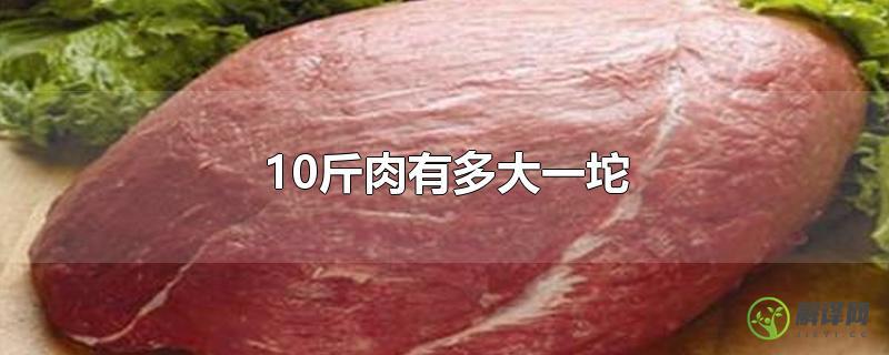 10斤肉有多大一坨？