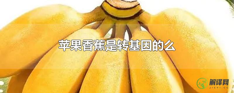苹果香蕉是转基因的么？
