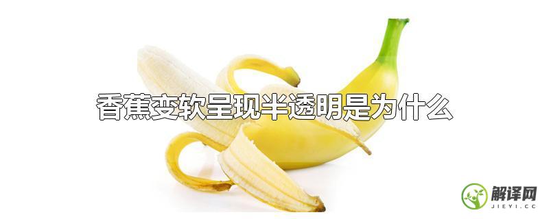 香蕉变软呈现半透明是为什么？